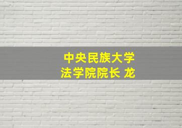 中央民族大学法学院院长 龙